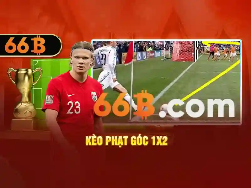 Đăng Ký 66B