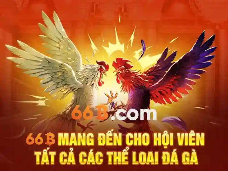 Trải Nghiệm Cờ Vua 66B