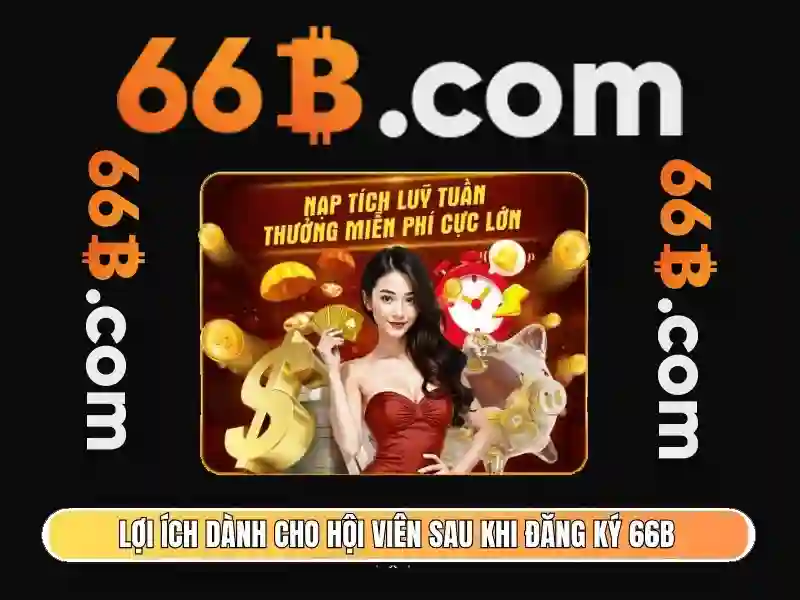 Tại Sao Nên Chọn 66B