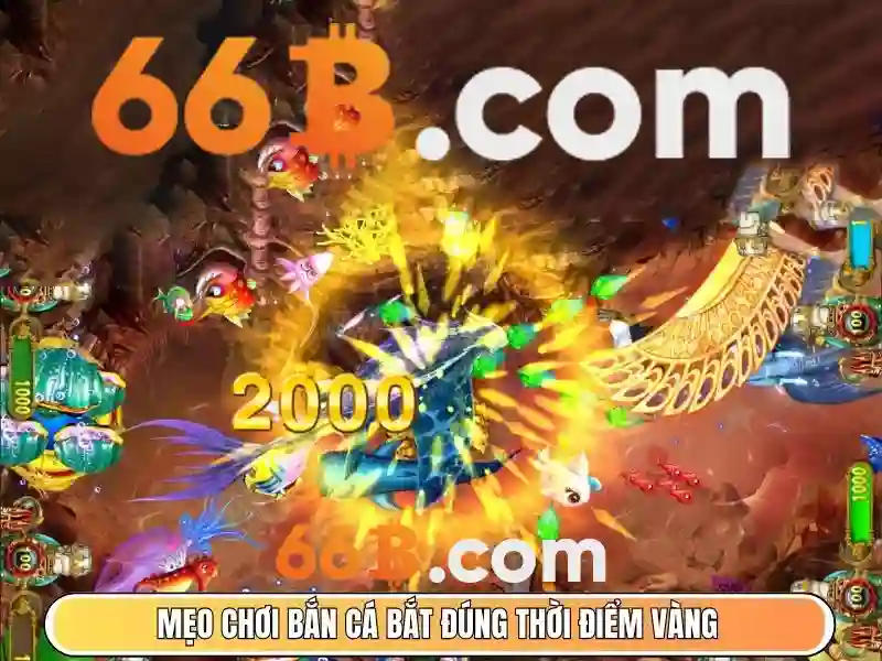 Hướng Dẫn Truy Cập