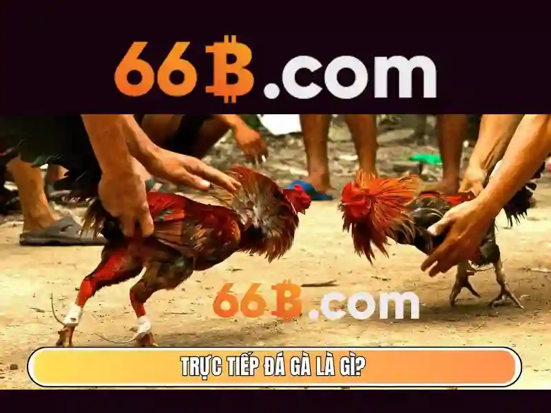 Đăng ký Slot 66B