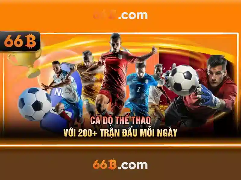 Đặc Điểm Nổi Bật Của 66B Android