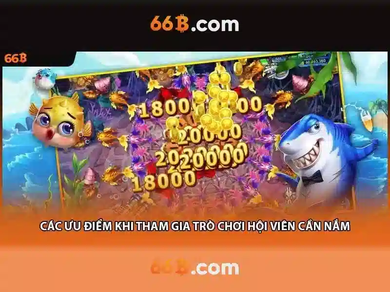 Khuyến Mãi 66B Độc Quyền