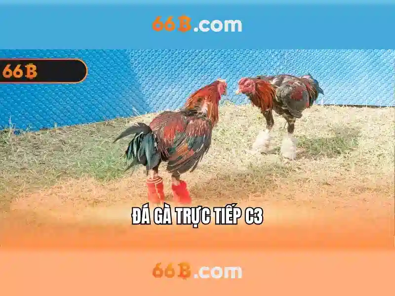66B - Trải Nghiệm Slot Đỉnh Cao Với Link 66B Chính Thức 2026