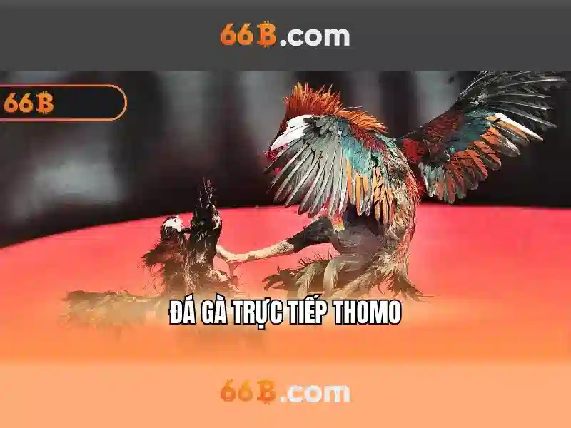 Đảm Bảo Quyền Riêng Tư Người Chơi Tại Nhà Cái 66B