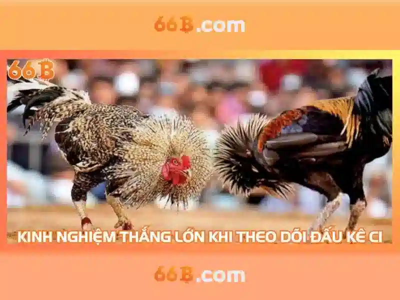 Trải nghiệm Slot đỉnh cao 66B