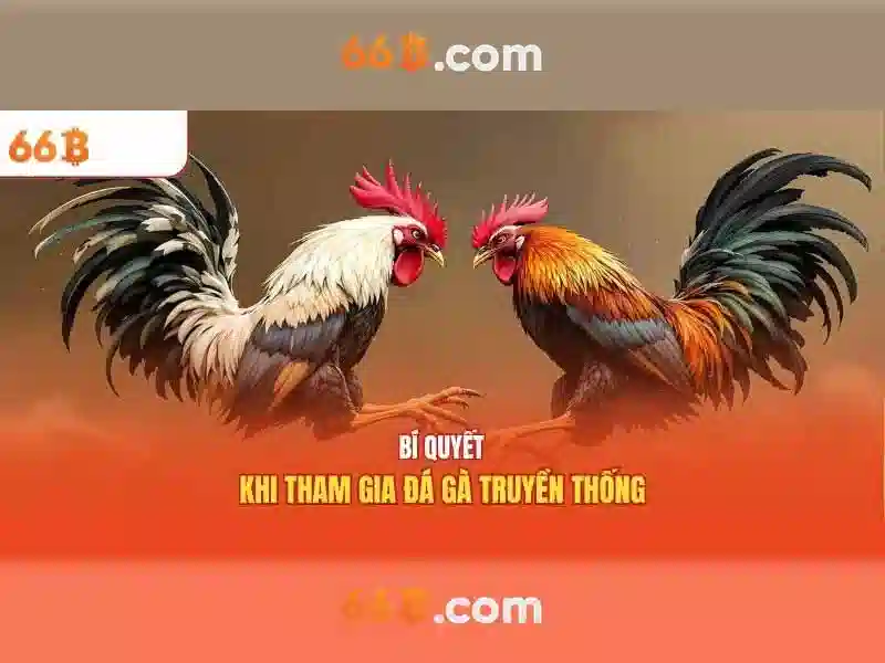 Đăng Ký 66B
