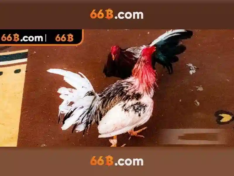 66B – Trang Chủ 66B Chơi Slot Uy Tín, Liên Hệ 66B Nhanh Chóng, An Toàn, Thanh Toán 24/7