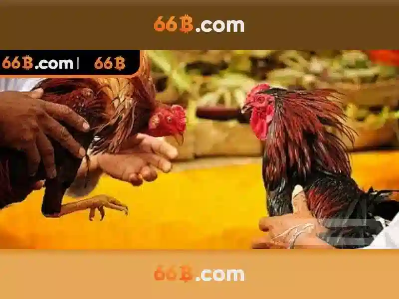 Ứng dụng 66B