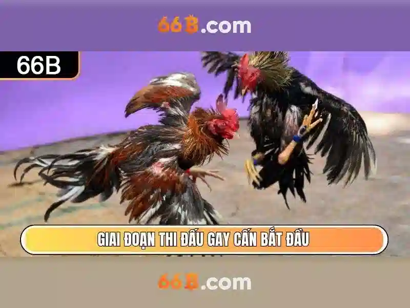 Đăng Nhập 66B