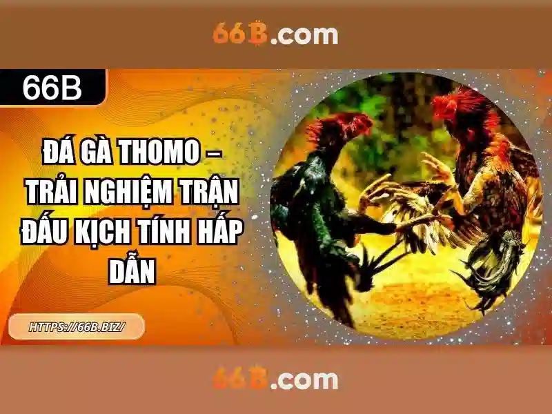 Tải 66B và tham gia Slot đỉnh cao