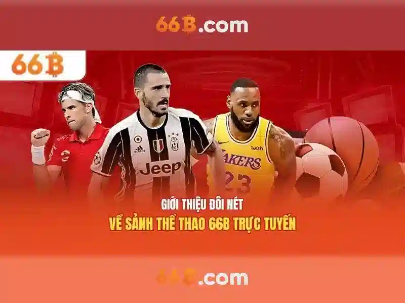 Ưu Điểm 66B