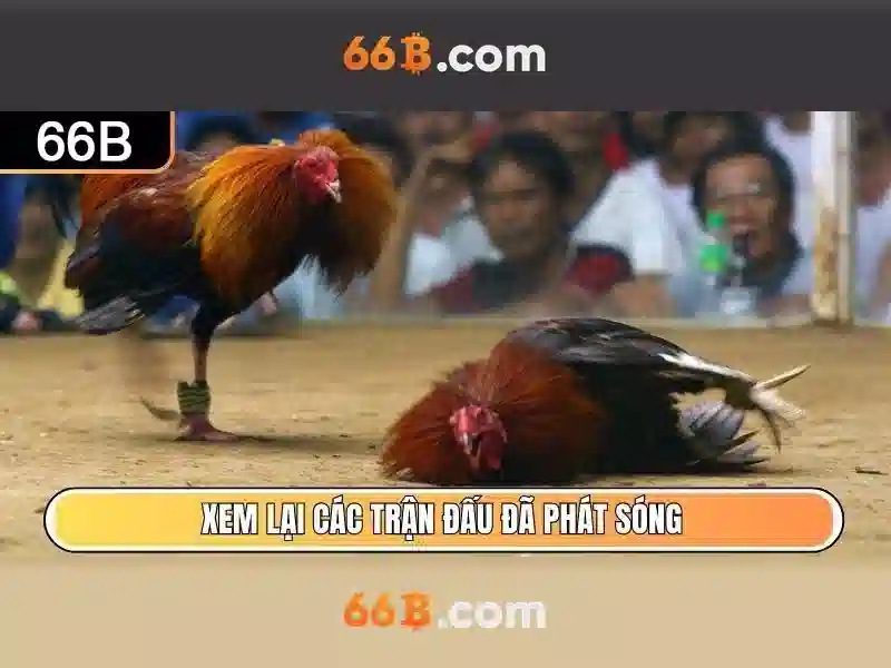 Ưu Đãi Thành Viên 66B 2026