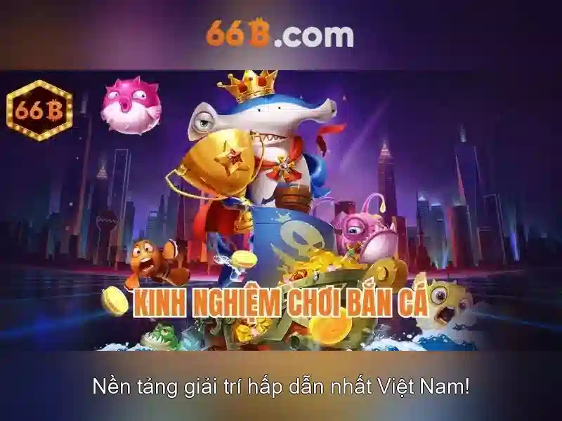 thể thao 66B