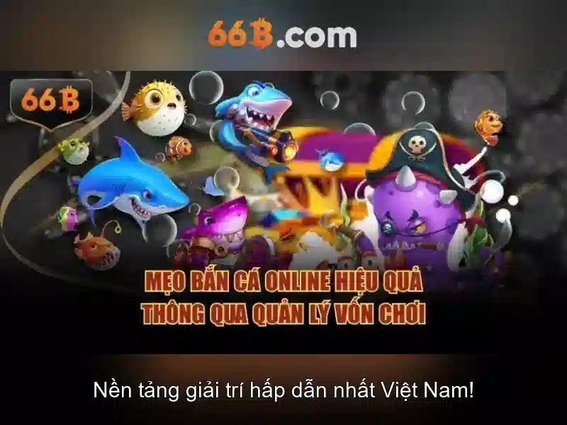 Chính Sách Bảo Mật 66B
