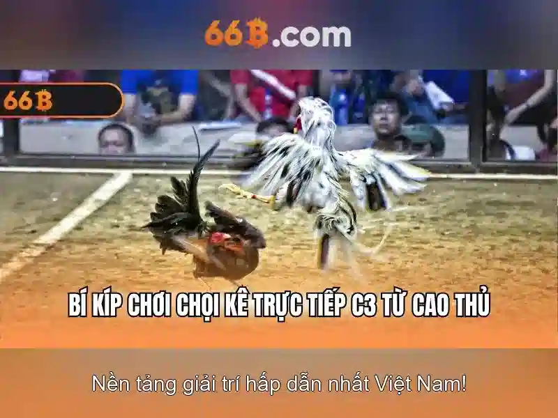 Trang Chủ 66B