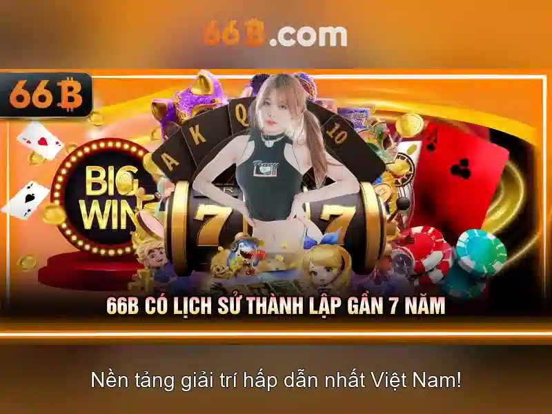 66B được bảo chứng bởi các cơ quan uy tín