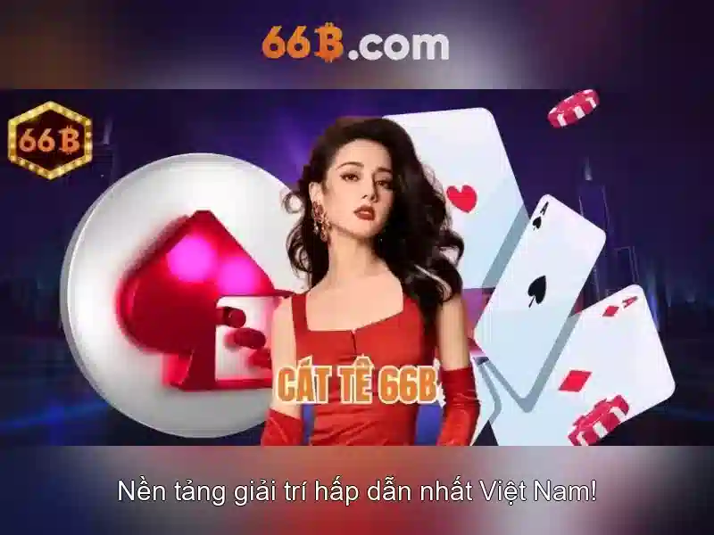 Quyền Lợi Người Dùng
