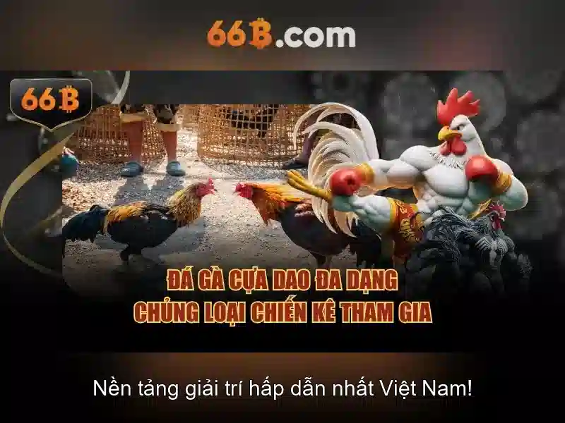 Rút Tiền 66B