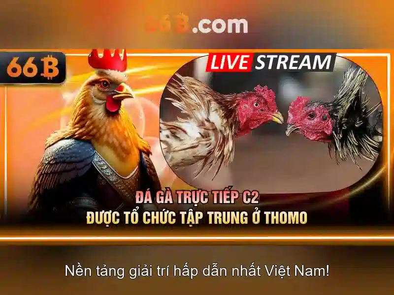 Chương Trình Ưu Đãi 66B
