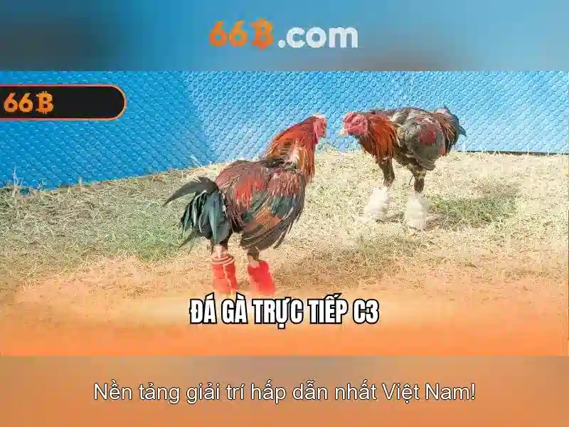 66B – Trải Nghiệm Slot Đa Dạng Với 66B Online