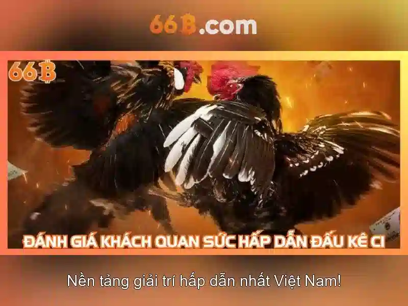 đánh giá 66b