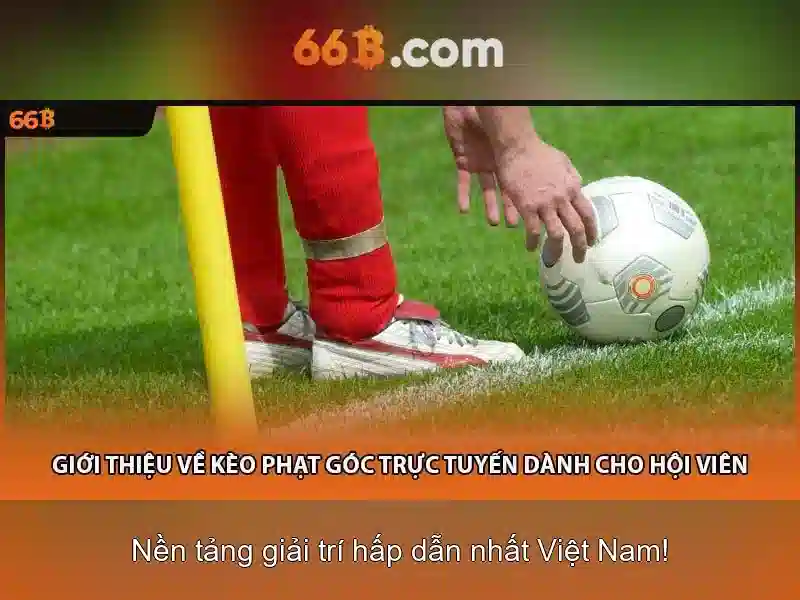 chơi bài 66b