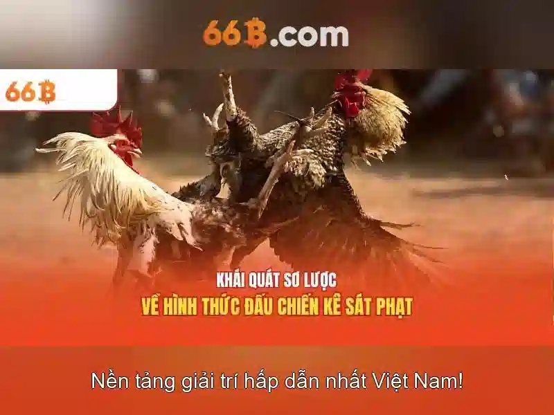 Điều khoản dịch vụ 66B về bảo mật thông tin người dùng