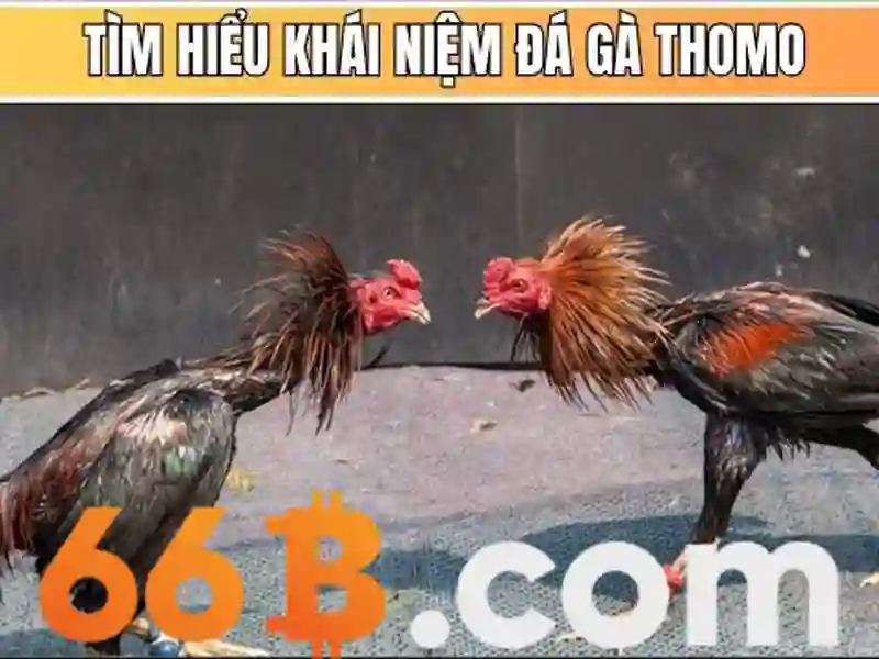 66b mới - Nâng tầm trải nghiệm cá cược Slot