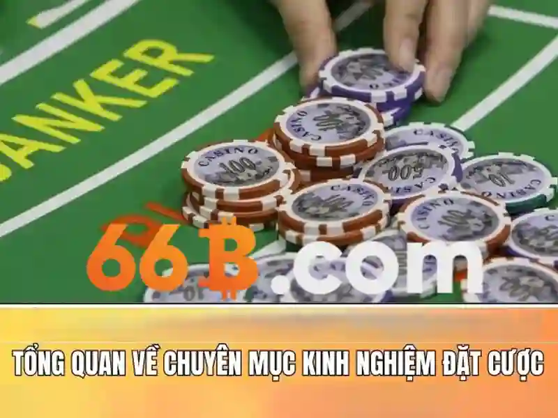 Liên hệ 66B