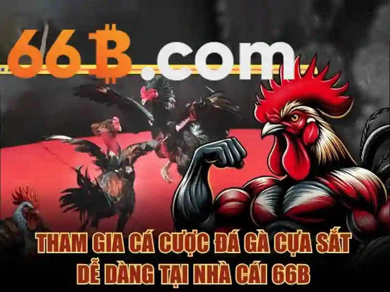 Hướng Dẫn Rút Tiền 66b Chính Thức