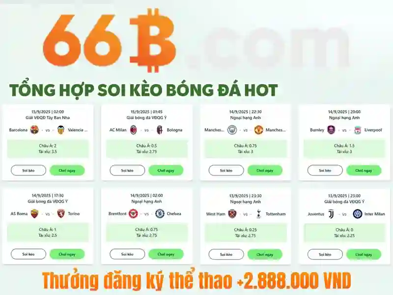 Giới Thiệu Về 66B