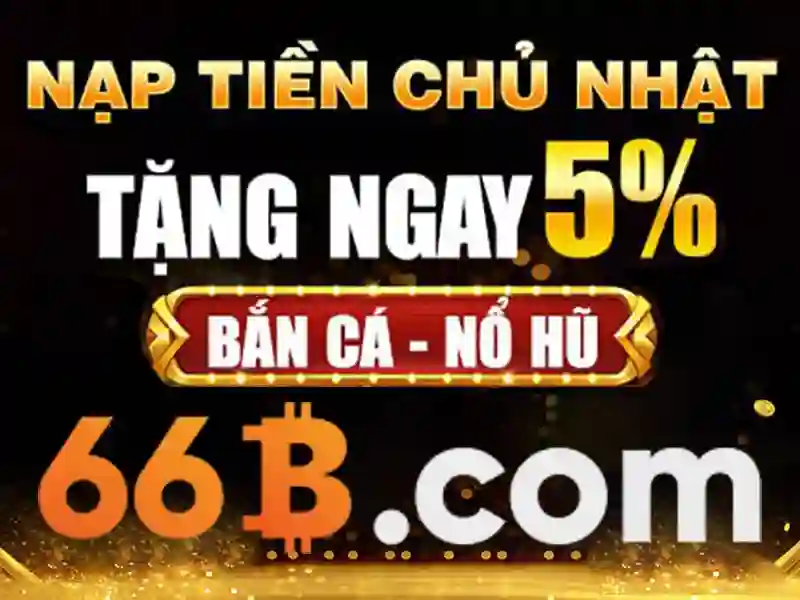Trải Nghiệm Đỉnh Cao